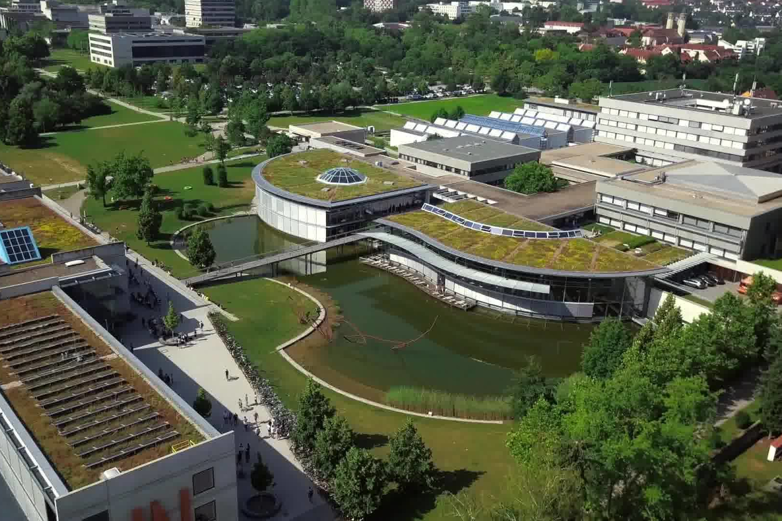 From Passion to Foundation – IT for the Oberpfalz 🚀